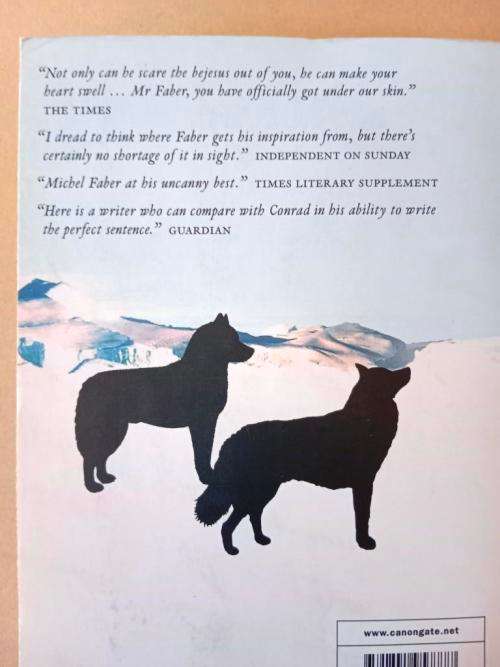 The Fahrenheit Twins, Michel Faber