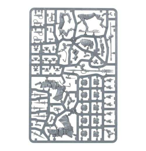 Astra Militarum: Attilan Rough Riders- Warhammer 40K