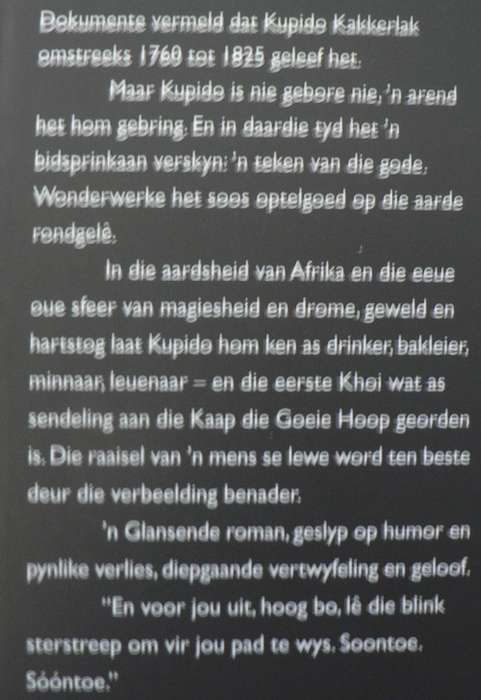 Bidsprinkaan deur Andre P. Brink
