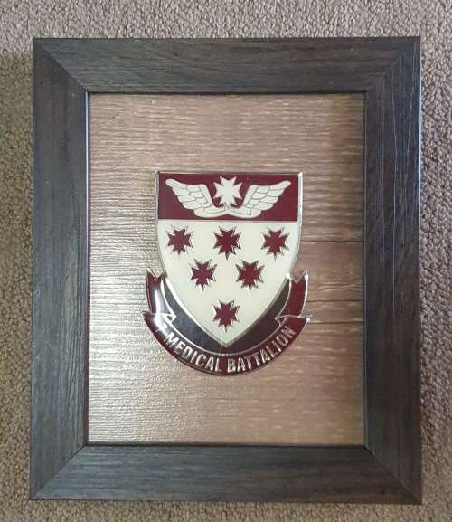 7 Med Bn Shield