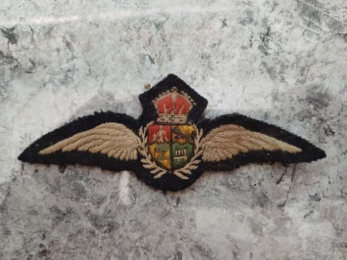 SAAF Pilots Wing
