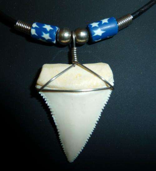 WRAPPED UPPER ANTERIOR GREAT WHITE SHARK TOOTH PENDANT JAW