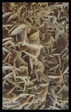 Huge Desert Rose and Clear Crystal Just for You