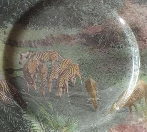Royal Doulton Wall Plate