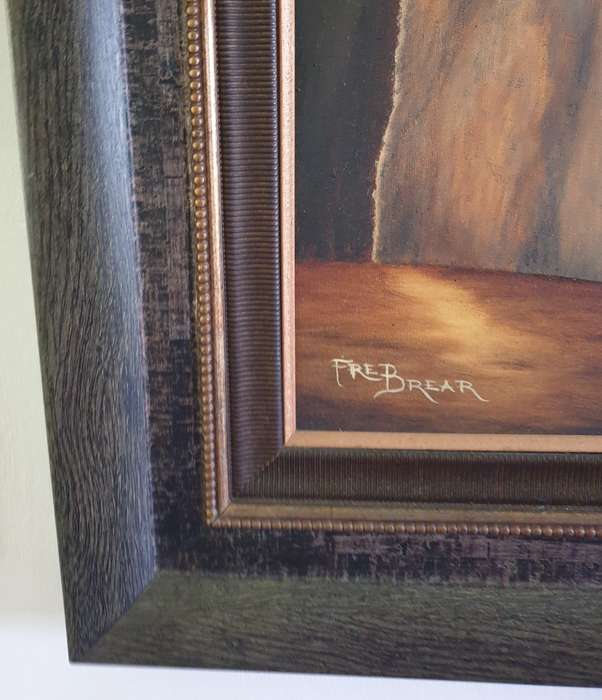 FRED BREAR | SOUTH AFRICAN ARTIST | CONTEMPORARY ART |
