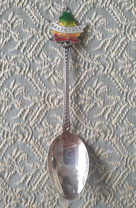 SILVER SPOON | 800 | VINTAGE | 10 |