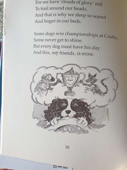 TWO BOOKS FOR YOUR COLLECTION | DOGGY |