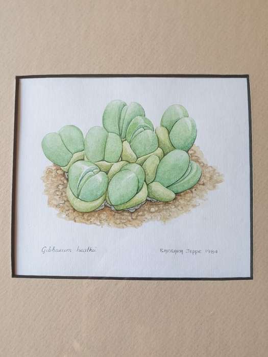 SMALL FRAME WITH PICTURE | SIGNED |