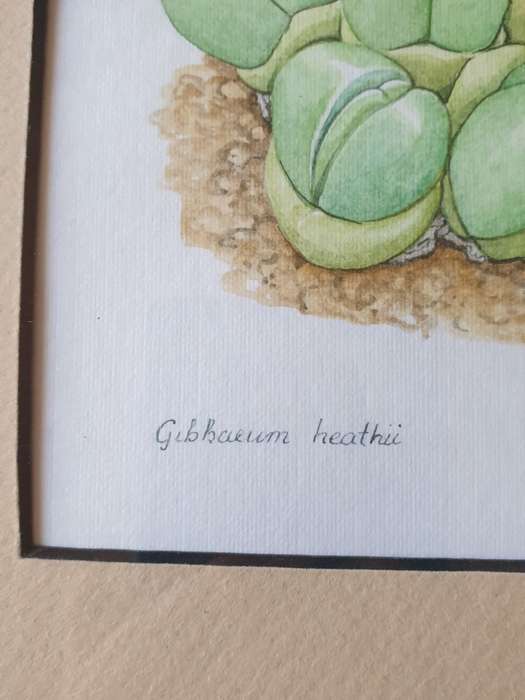 SMALL FRAME WITH PICTURE | SIGNED |