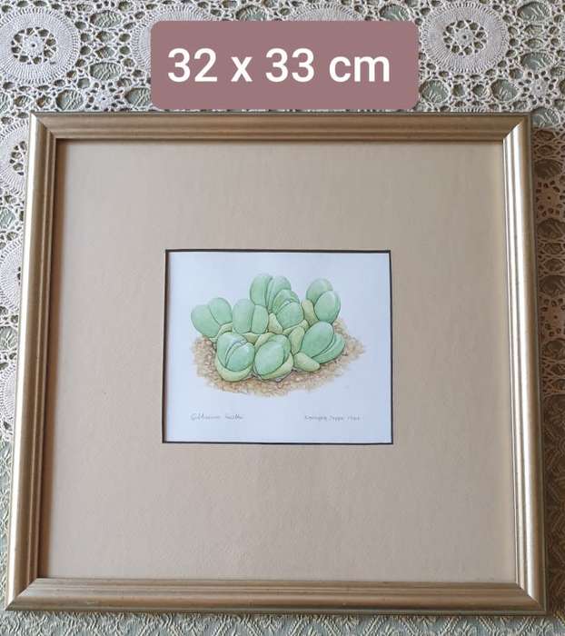 SMALL FRAME WITH PICTURE | SIGNED |