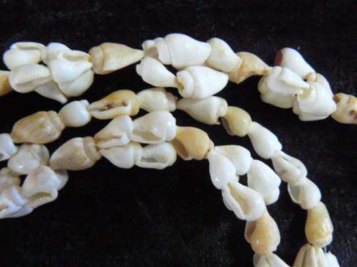 SHELL NECKLACE