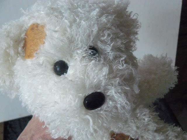 SOFT COLLECTABLE TEDDY CHEZ