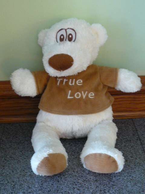 TEDDY  BEAR
