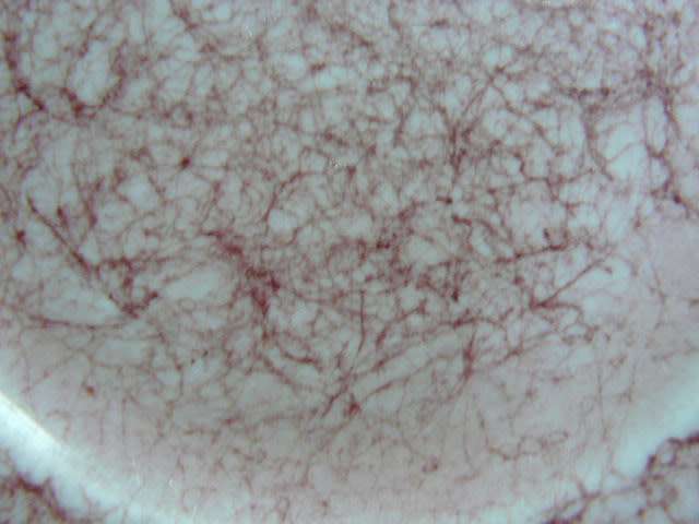 ROYAL ALBERT SIDE PLATES X2 2 AND 1 X SOUCER GOSSAMER ENGLAND