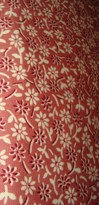 Thimbleberrie fabric 2 (does not bleed)