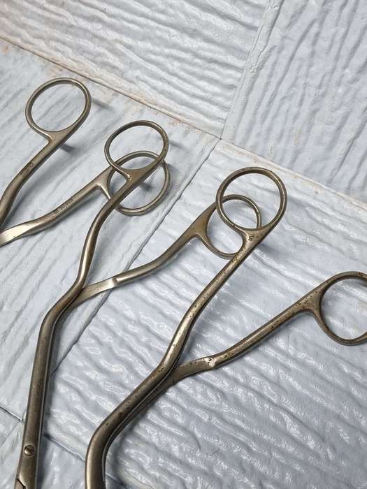 Medical related scissors ( lot of 10 )