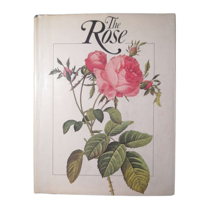 The Rose by Stuart Mechlin and Janet Browne 1979 Hardcover w/Dustjacket