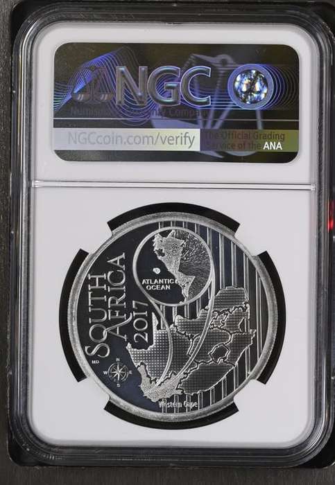 South Africa: Republic Hydroprogne Caspia (Caspian Tern) Colourized R10 (1oz Silver) of 2017 PF 69