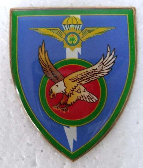 SOUTH AFRICA POLICE AIRBORNE SWAT COMMEMORATIVE AFRICAN SAP PARA WING ARM # FUN ends FRIDAY 8pm #