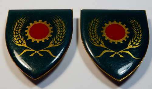 Pair of SADF maintenance unit shoulder flashes without unit numbers