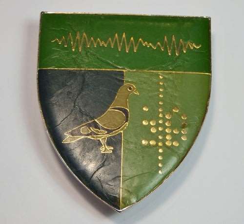 SADF 2 Signal Regiment shoulder flash - Right side - Lucite damaged