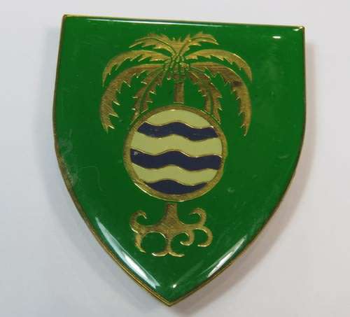 SWA Grootfontein commando shoulder flash