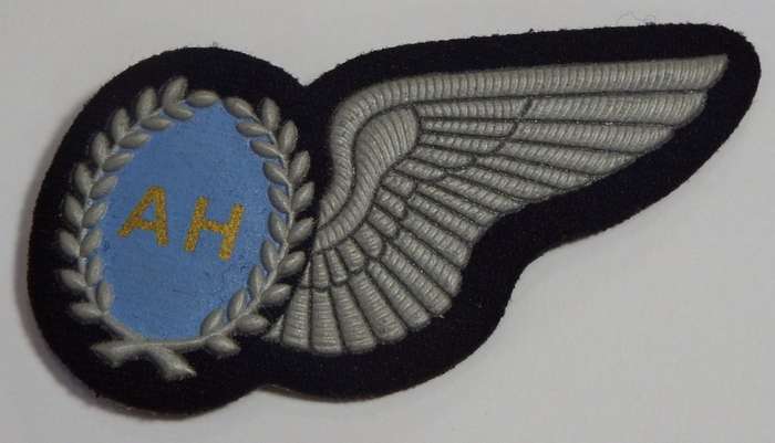 SA Air Force Air Hostess tupperware wing - No pin type