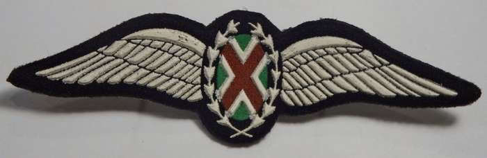 SA Air Force Commando Pilot tupperware wings