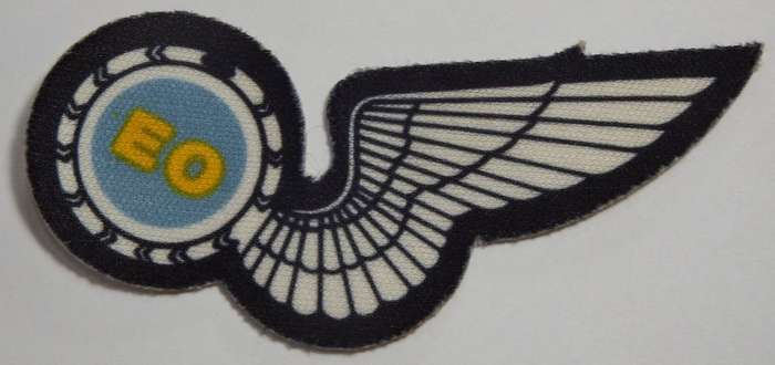SA Air Force Electric Operator printed wing