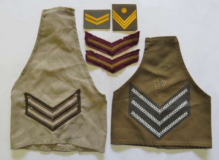 Lot of South African rank badges