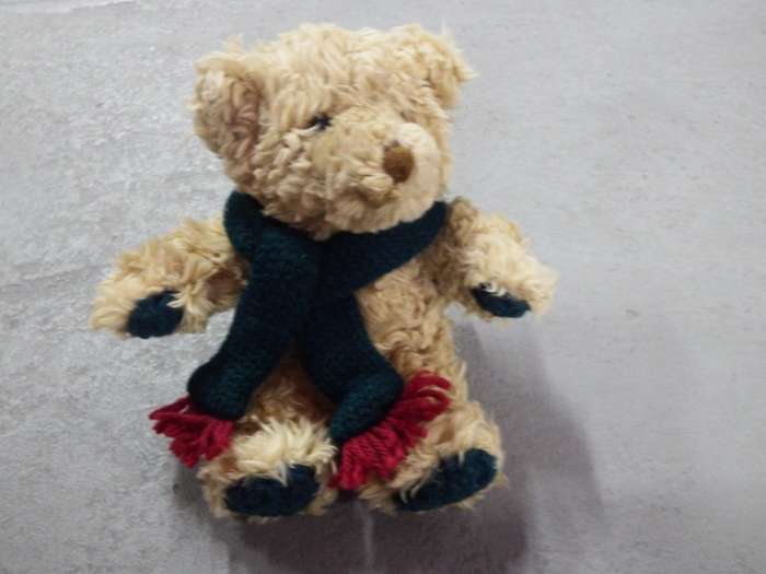 Commonwealth plush teddy bear with scarf