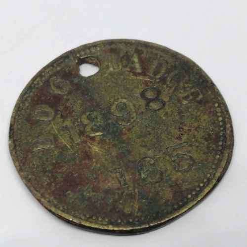 1898 Municipality of Worcester South Africa Dog badge #165