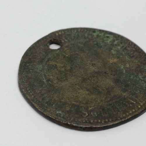 1898 Municipality of Worcester South Africa Dog badge #165