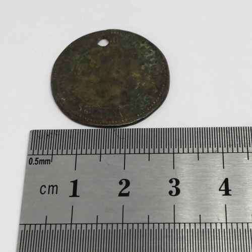 1898 Municipality of Worcester South Africa Dog badge #165