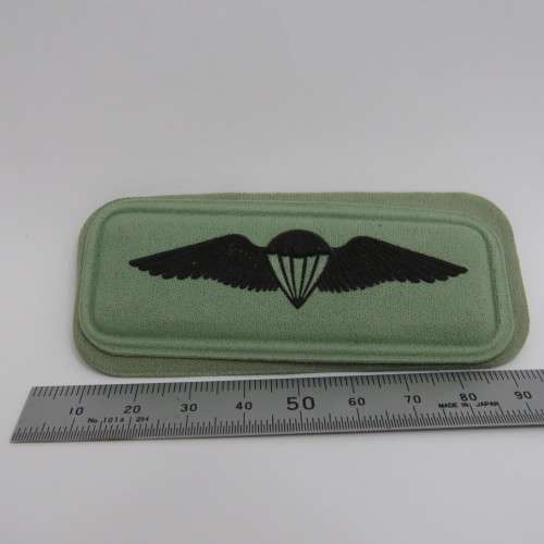 SANDF Paratrooper freefall qualification wing