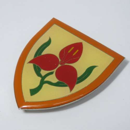 SADF Military academy shoulder flash
