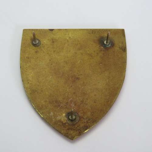 SA Army Womens college shoulder flash