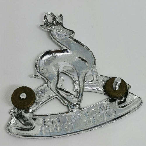 SA Army Cadet Corps cap badge