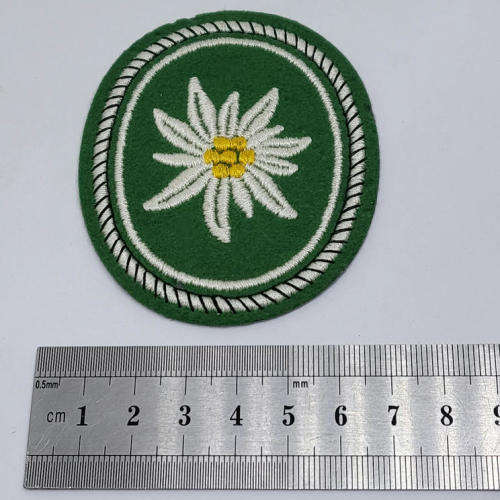 German Army 1st Mountain division cloth patch