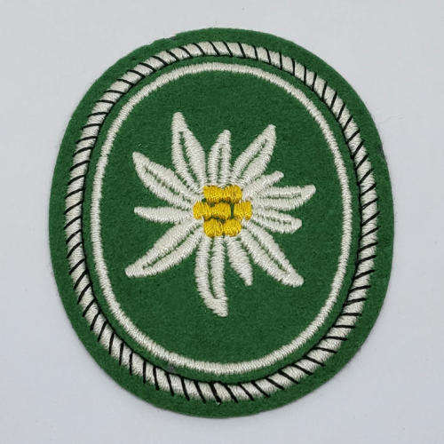German Army 1st Mountain division cloth patch