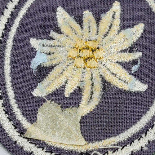 German Army 1st Mountain division cloth patch