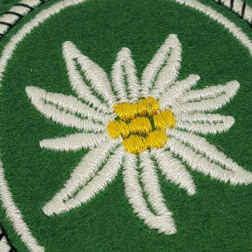German Army 1st Mountain division cloth patch
