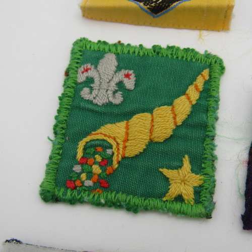 Lot of assorted boy scout cloth badges