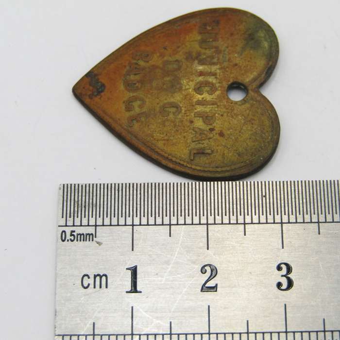 1901 Dog License marked C M ( Cape Municipality? ) heart shaped