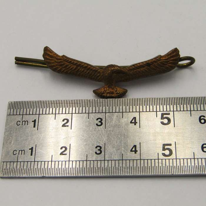 Pair of Air Force collar badges