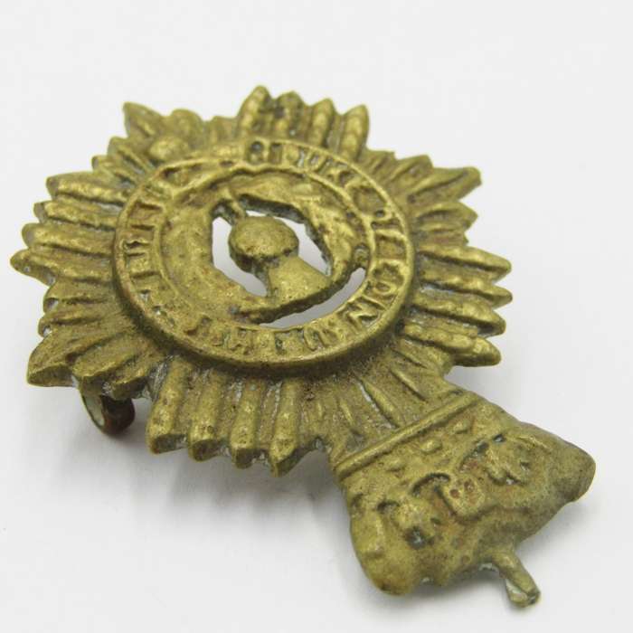 Duke of Edinburgh`s own rifles cap badge