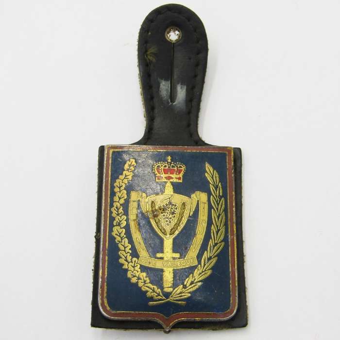 Belgium Army Technical school fob flash