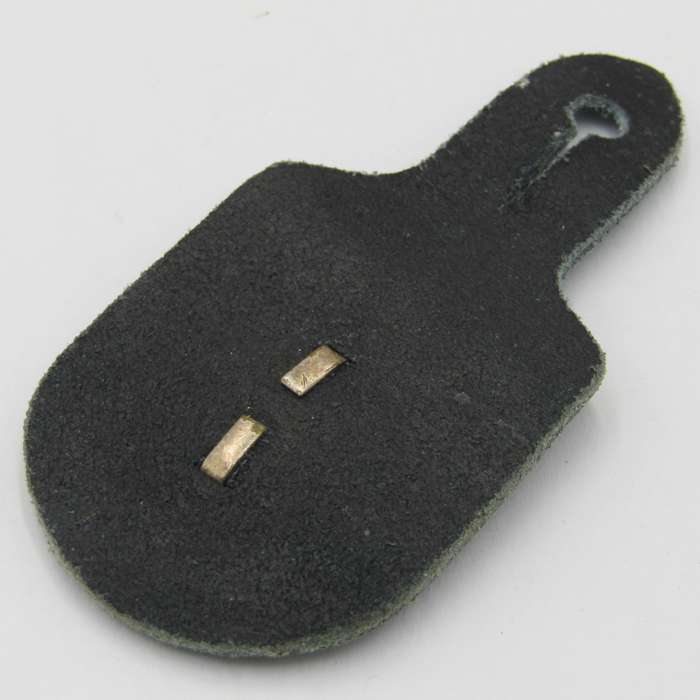 German Pioneer school Munich fob flash