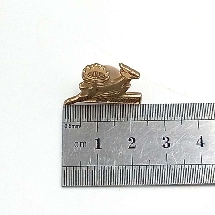 SA Rugby Springboks lapel pin badge