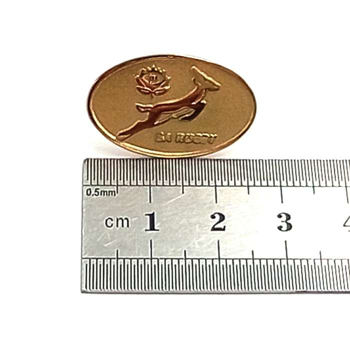 SA Rugby Springboks lapel pin badge
